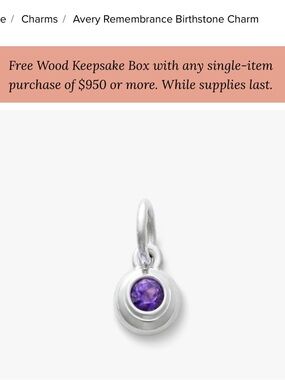 James Avery Sterling Charm with Purple Gemstone